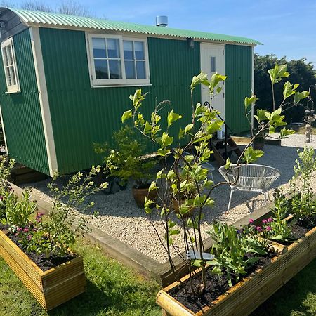 Toms Hut And Robins Rest Shepherd Huts Near Wadebridge Exteriör bild