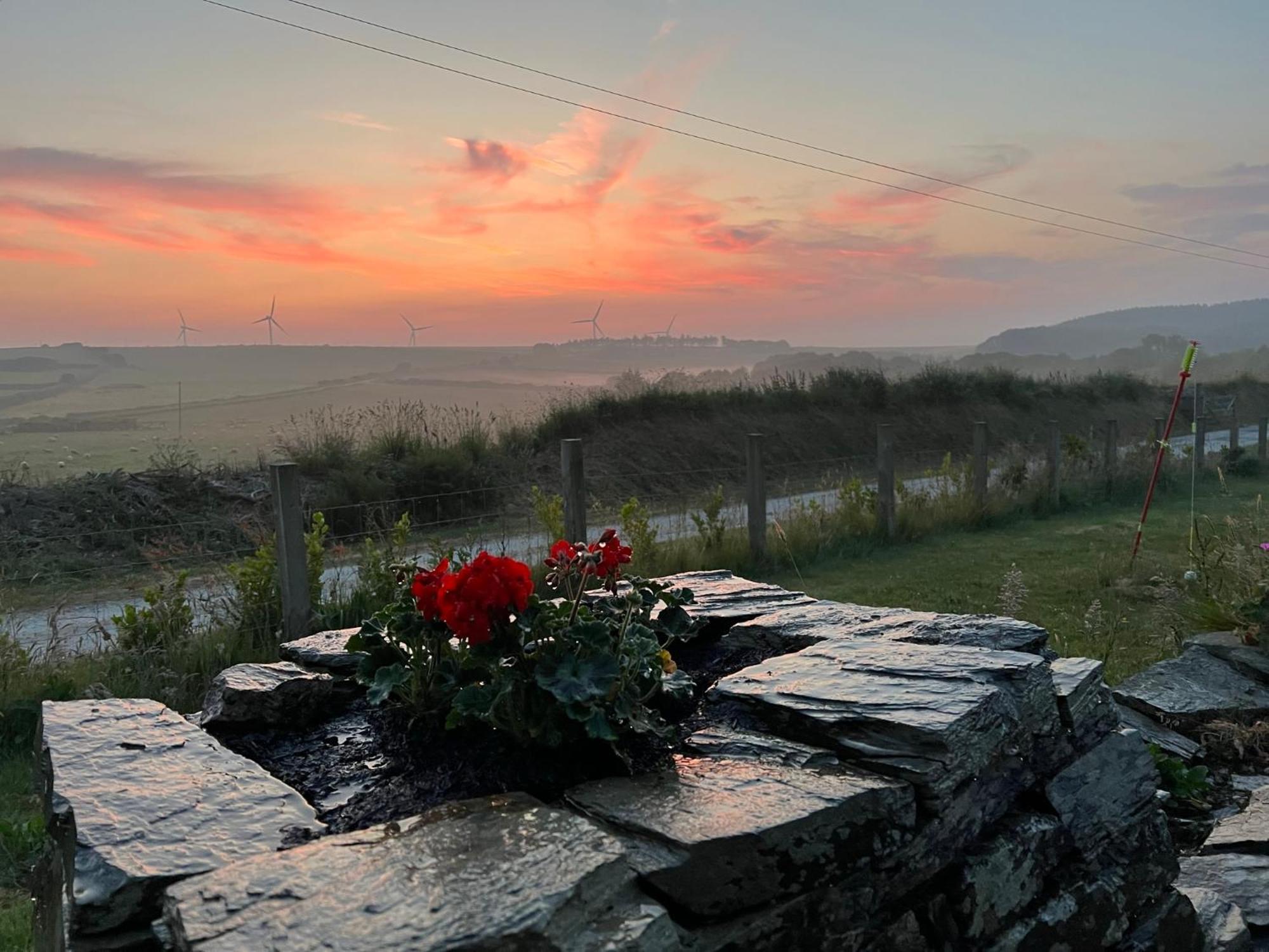 Toms Hut And Robins Rest Shepherd Huts Near Wadebridge Exteriör bild